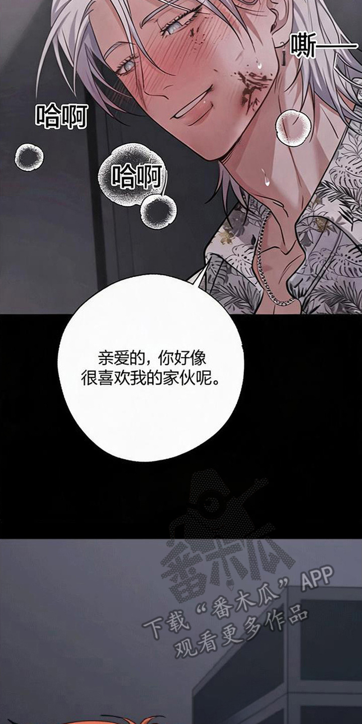 星光狼影漫画,第17章：亲爱的（完结）3图