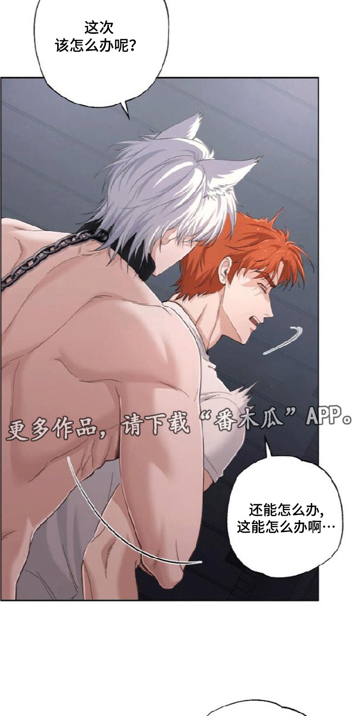 星光狼影漫画,第8章：脏死了4图