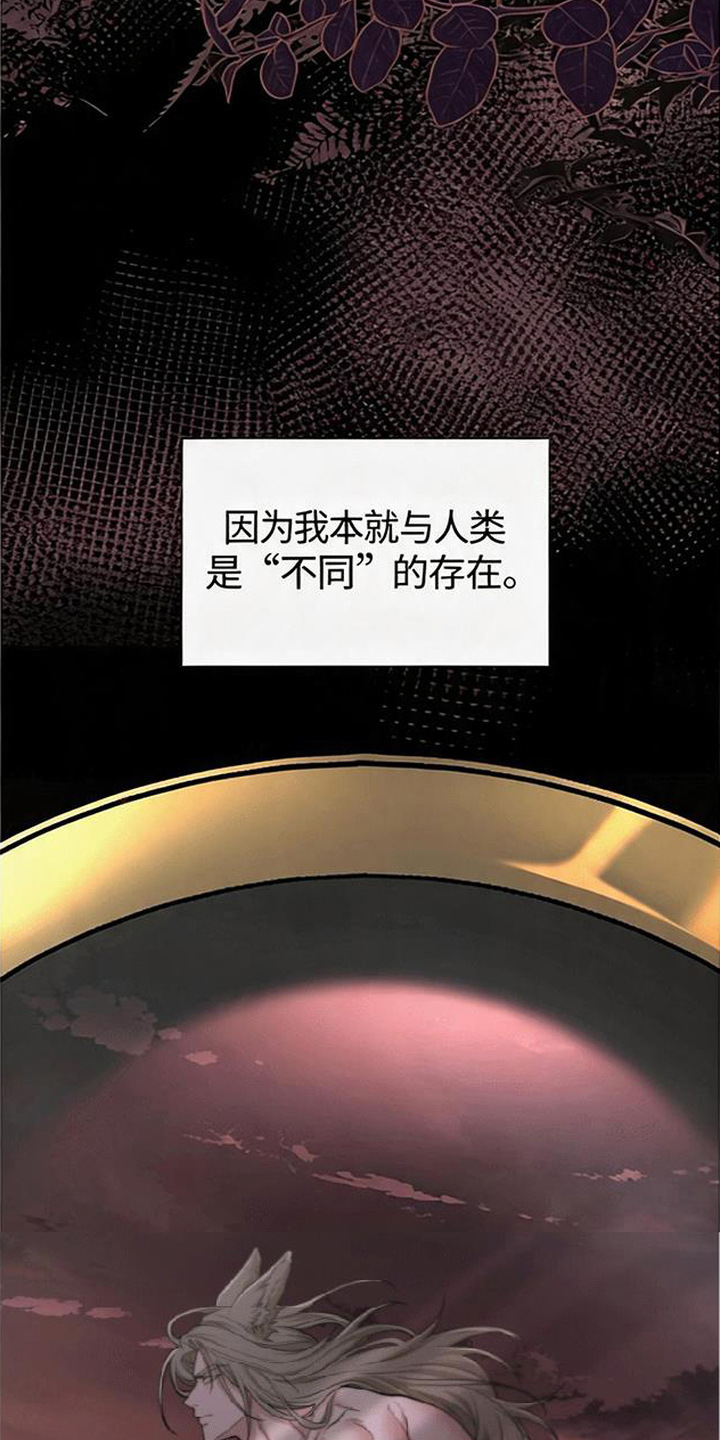 星光狼影漫画,第15章：狼人一族5图