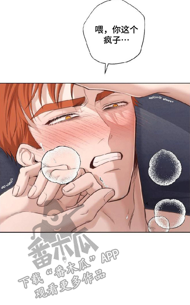 星光狼影漫画第几章漫画,第10章：纹身1图