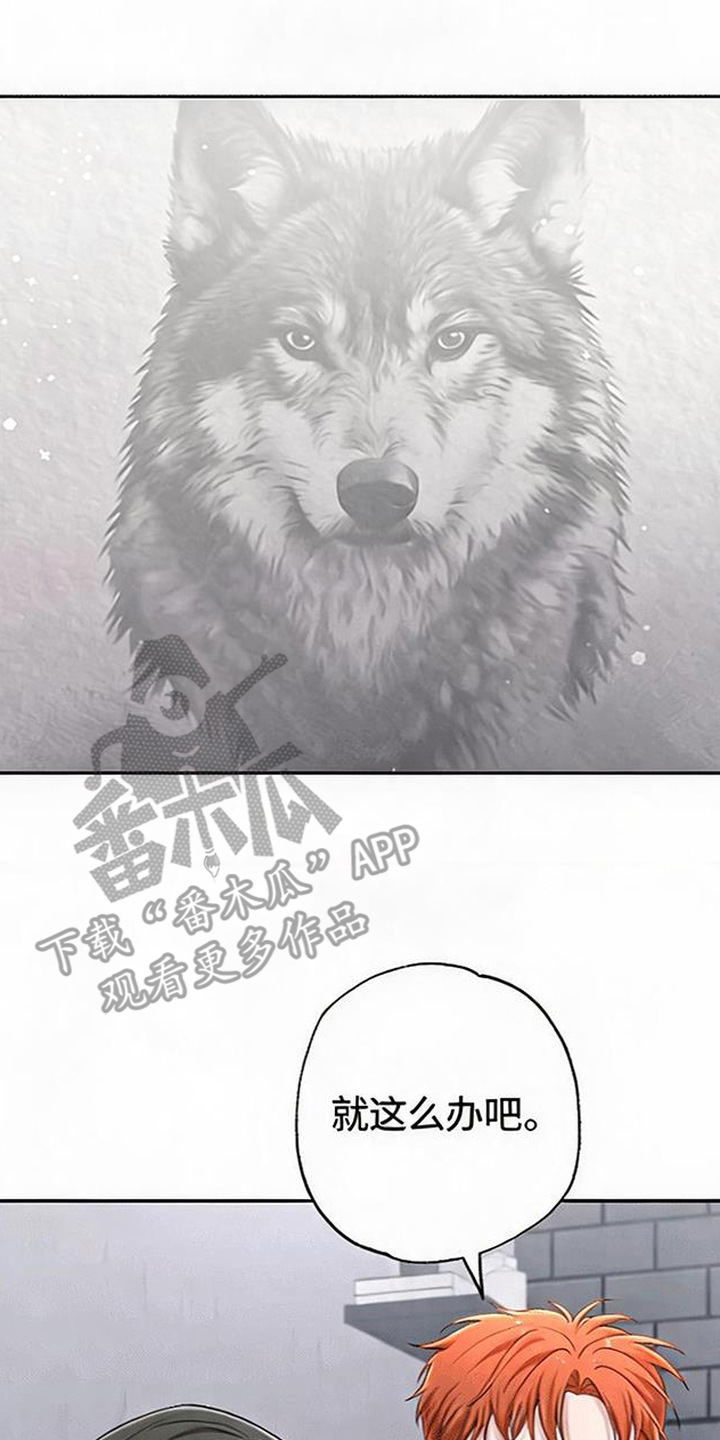播放星光电影漫画,第11章：选这个1图