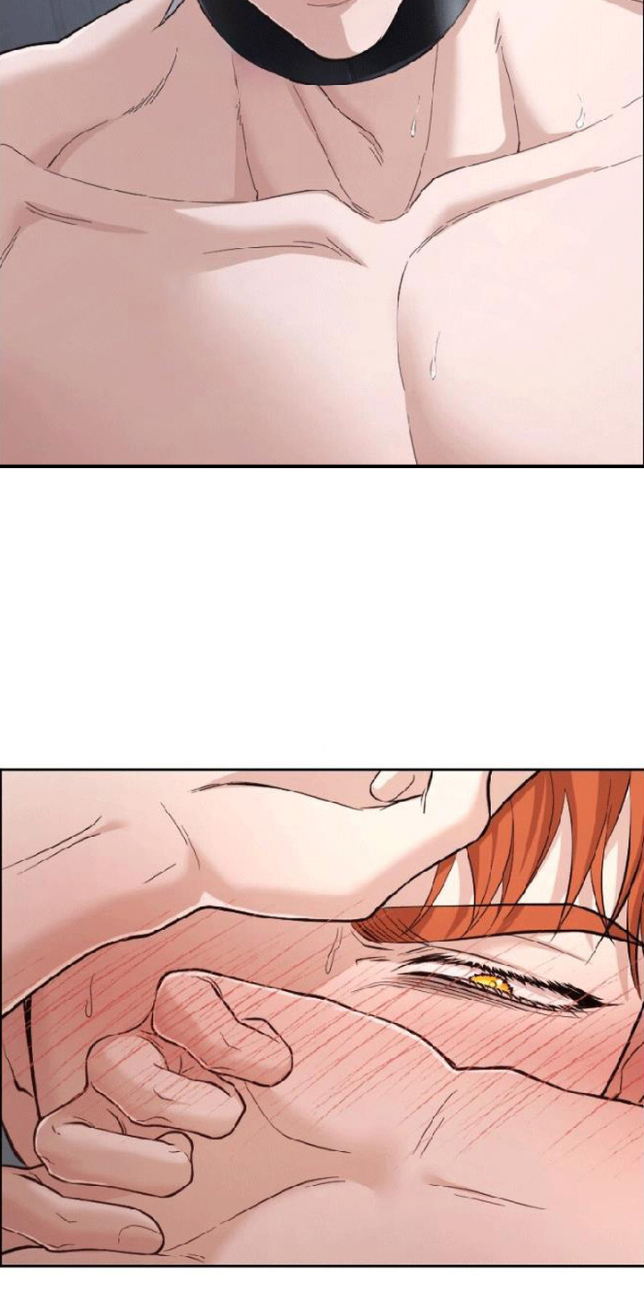 星光狼影漫画第几章漫画,第10章：纹身3图