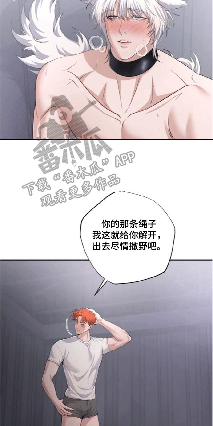 星光狼影漫画第几章漫画,第5章：委屈2图