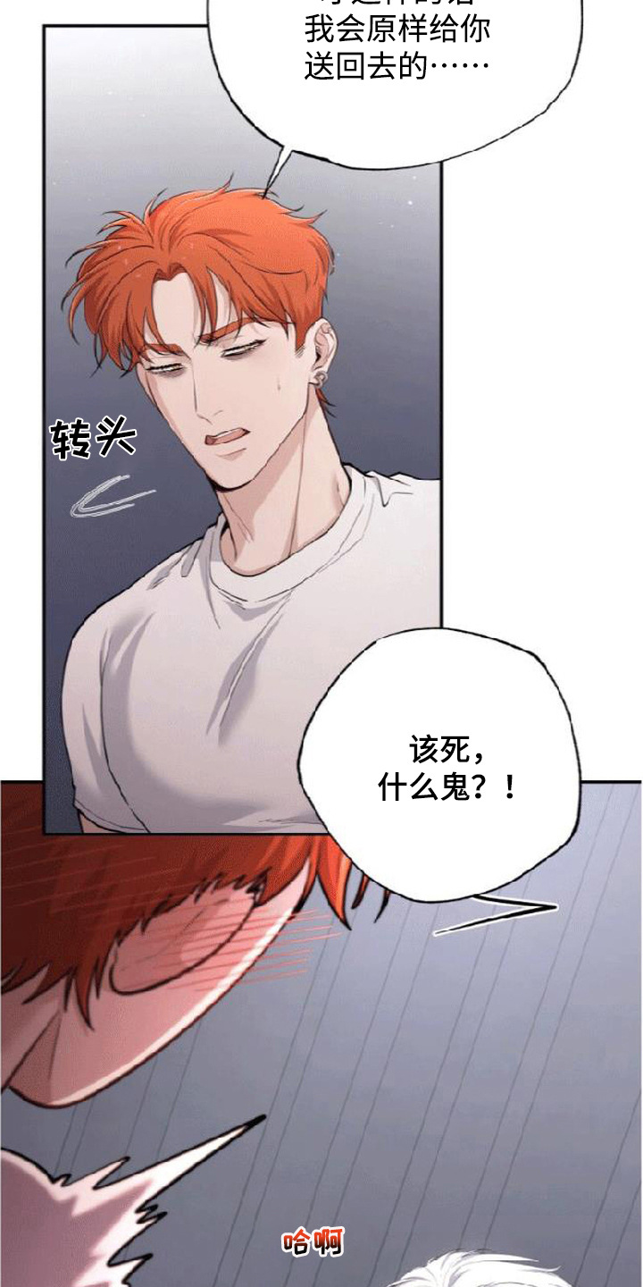 星光狼影漫画第几章漫画,第5章：委屈4图