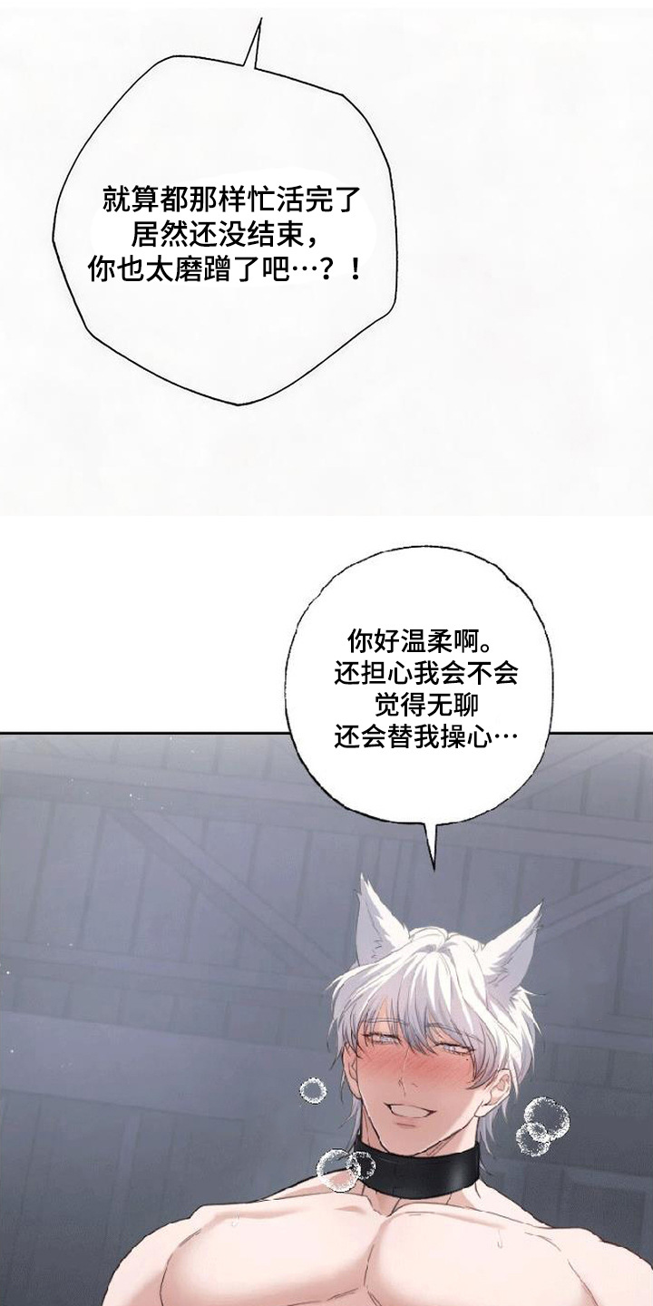 星光狼影漫画第几章漫画,第10章：纹身4图