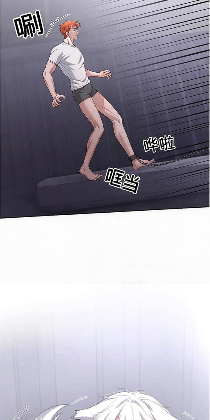 星光狼影漫画第几章漫画,第5章：委屈1图