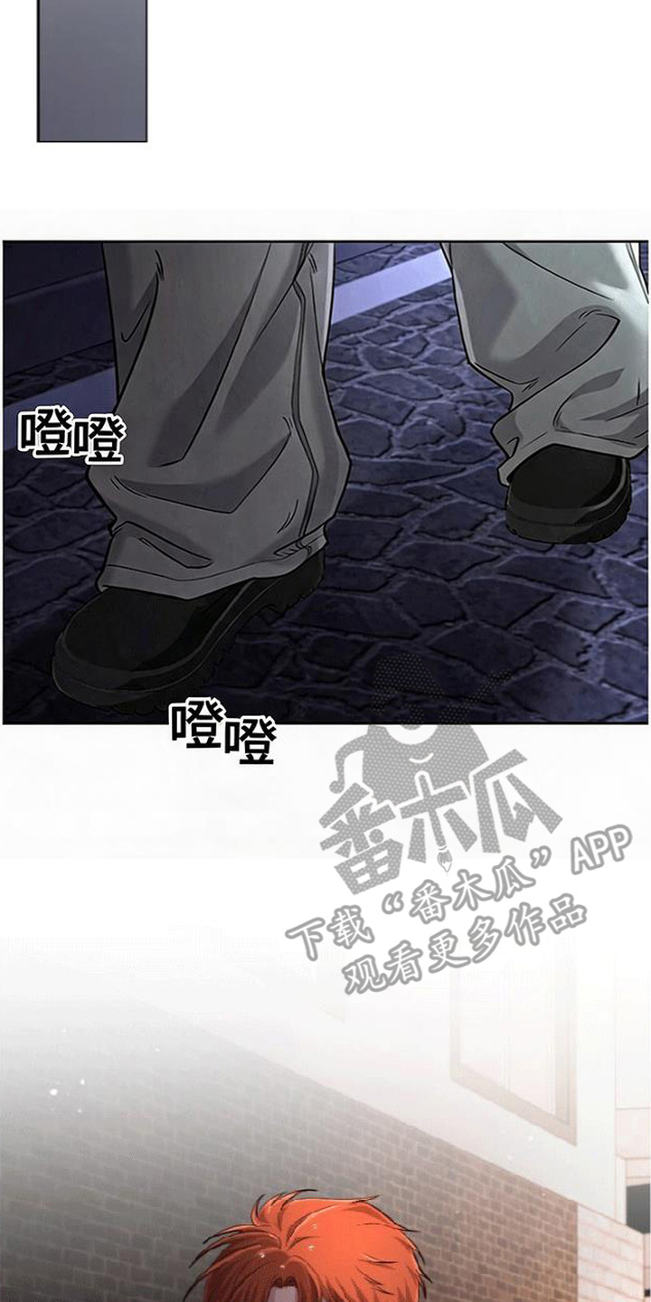星光狼影漫画第几章漫画,第13章：复出2图