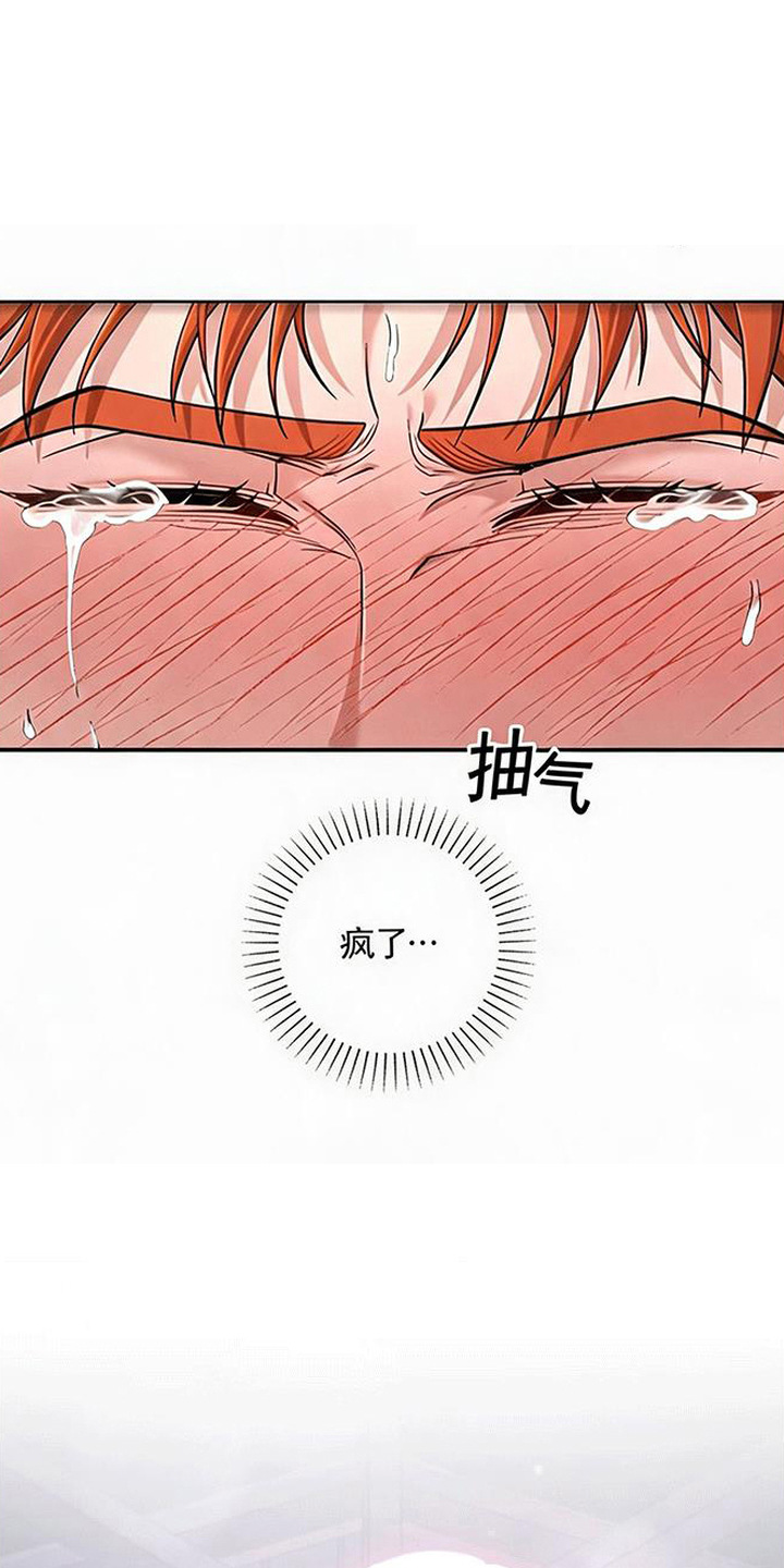 星光狼影漫画,第11章：选这个5图