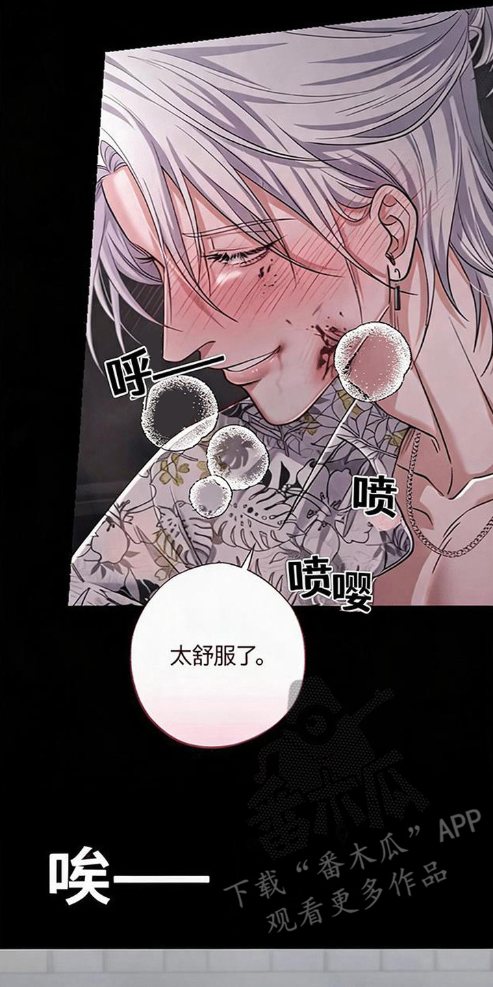 星光狼影漫画,第17章：亲爱的（完结）2图