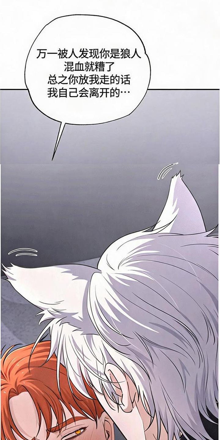 星光狼影漫画评价漫画,第6章：絮絮叨叨4图