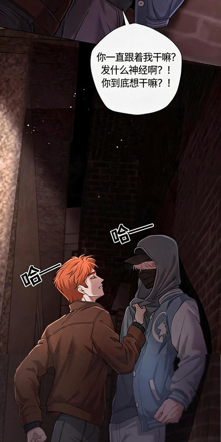星光狼影漫画第几章漫画,第13章：复出4图