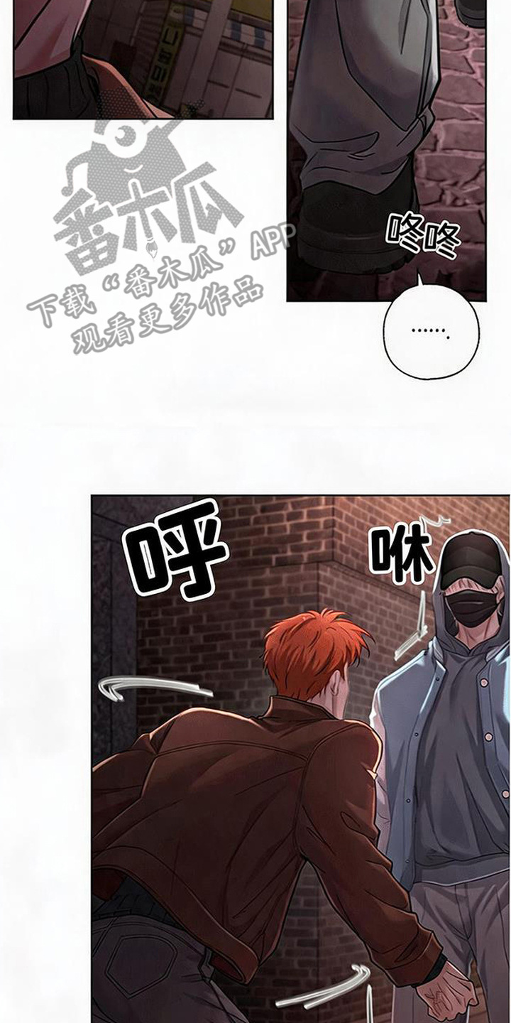 星光狼影漫画第几章漫画,第13章：复出1图
