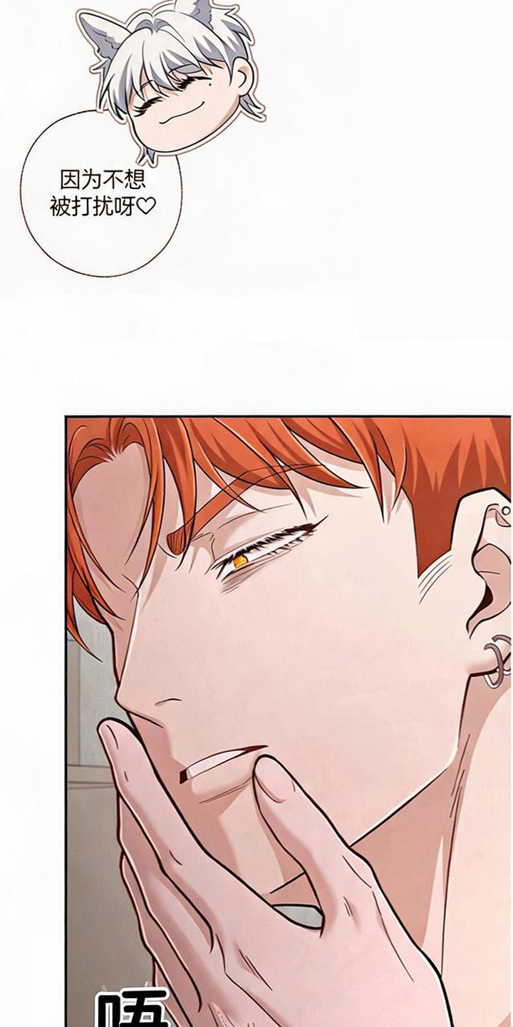 星光狼影漫画第几章漫画,第14章：很想你4图
