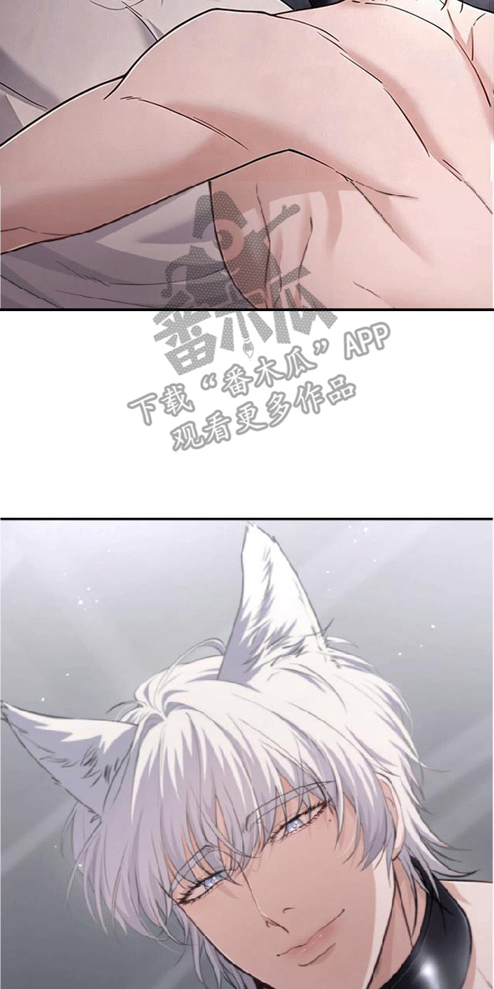 星光狼影漫画评价漫画,第6章：絮絮叨叨3图
