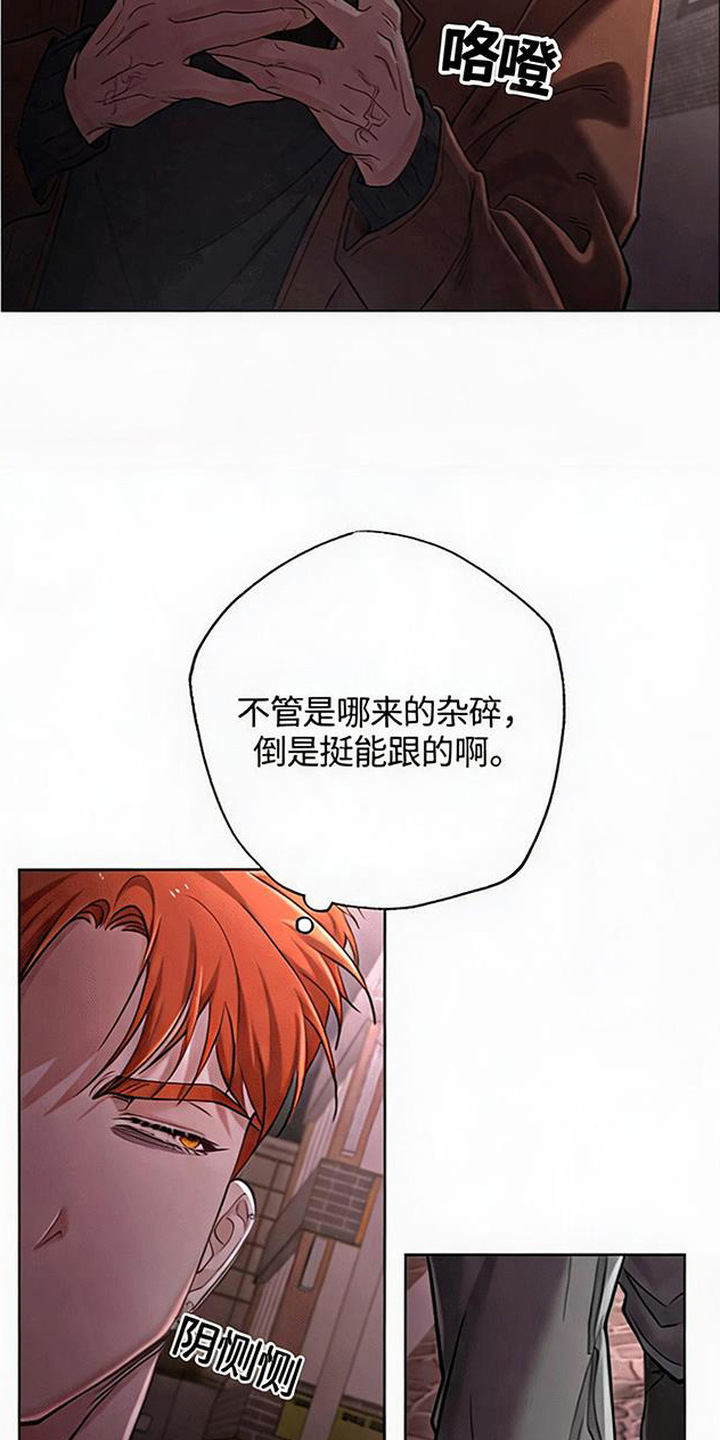 星光狼影漫画第几章漫画,第13章：复出5图