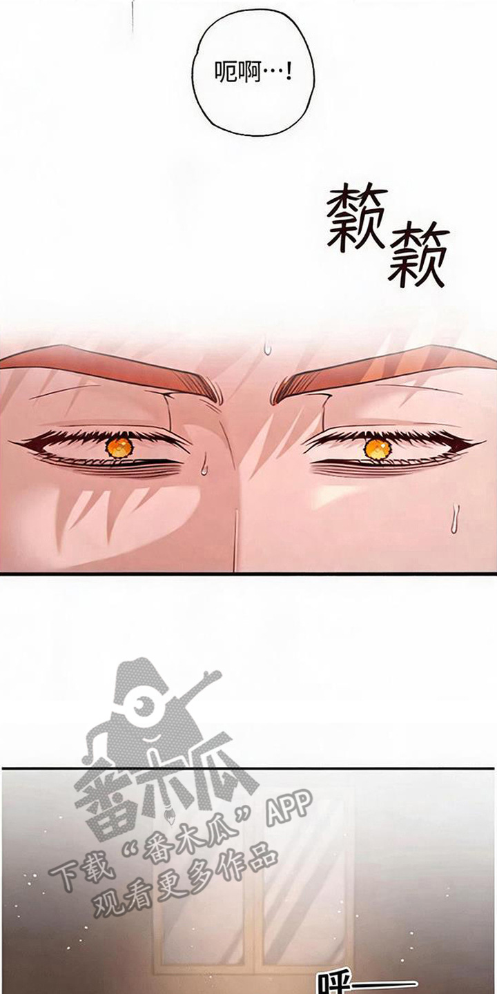 星光大道影子漫画,第12章：狼崽子2图