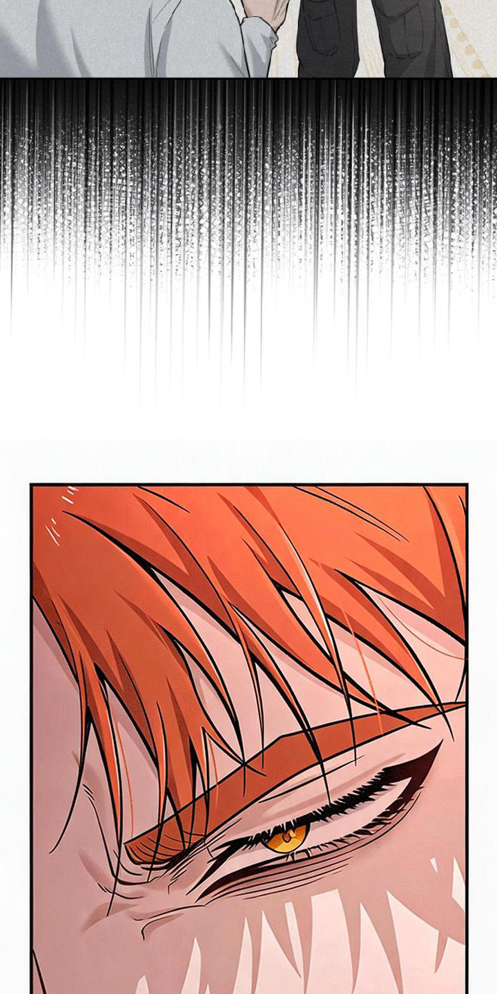 星光狼影漫画第几章漫画,第1章：被冤枉4图