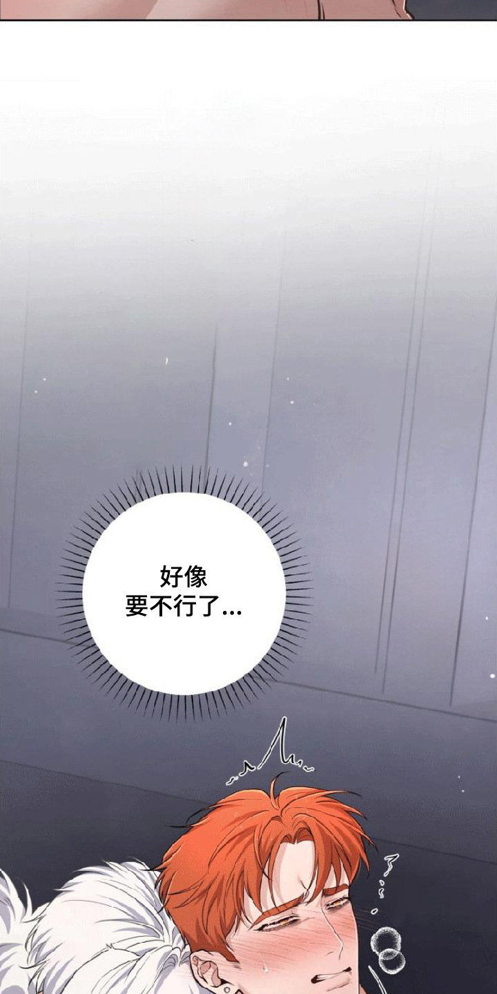 星光狼影漫画第几章漫画,第10章：纹身5图