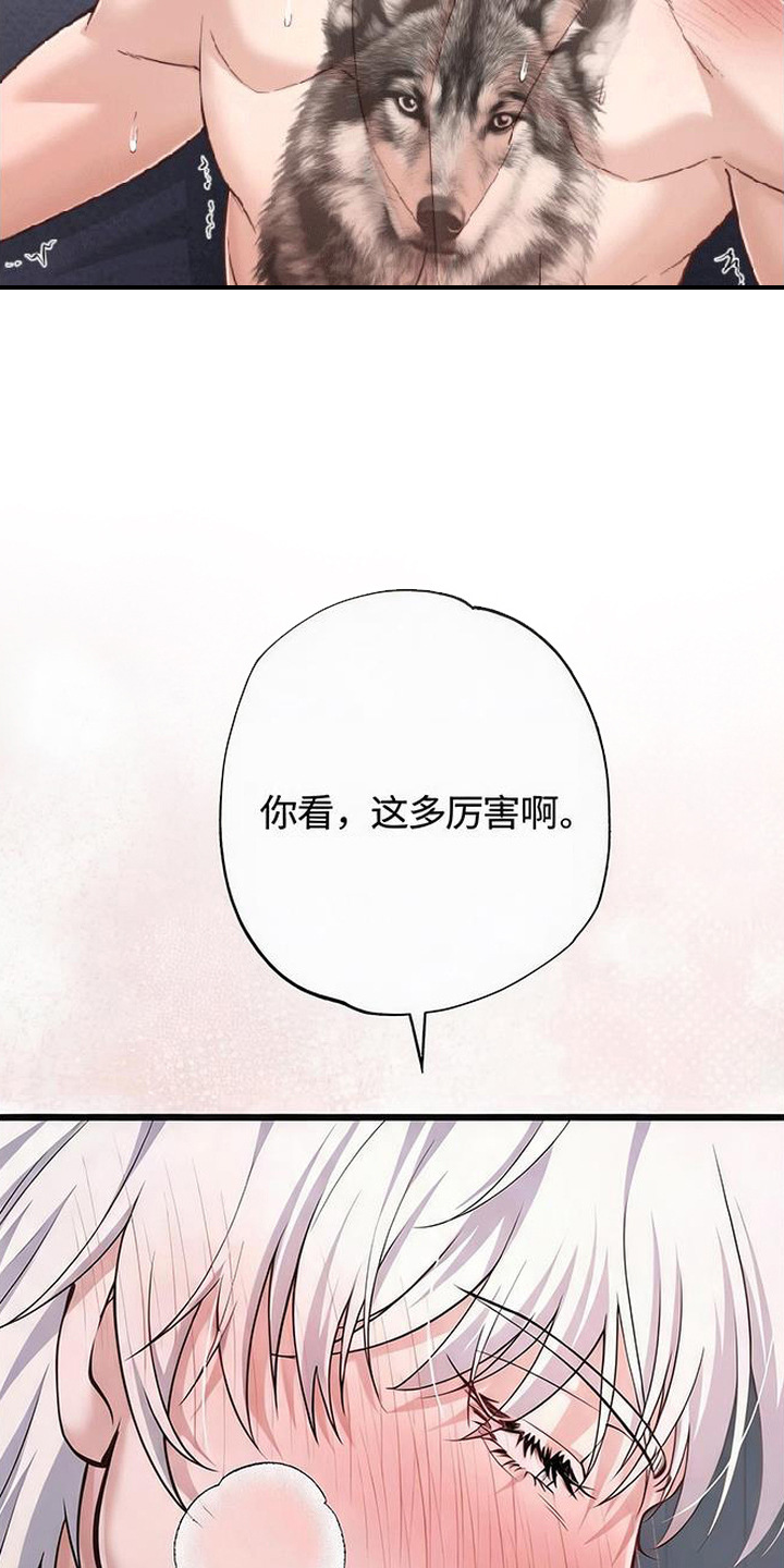 星光狼影漫画第几章漫画,第10章：纹身4图
