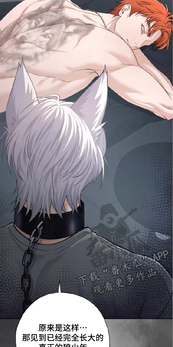 星光影城官网漫画,第12章：狼崽子3图