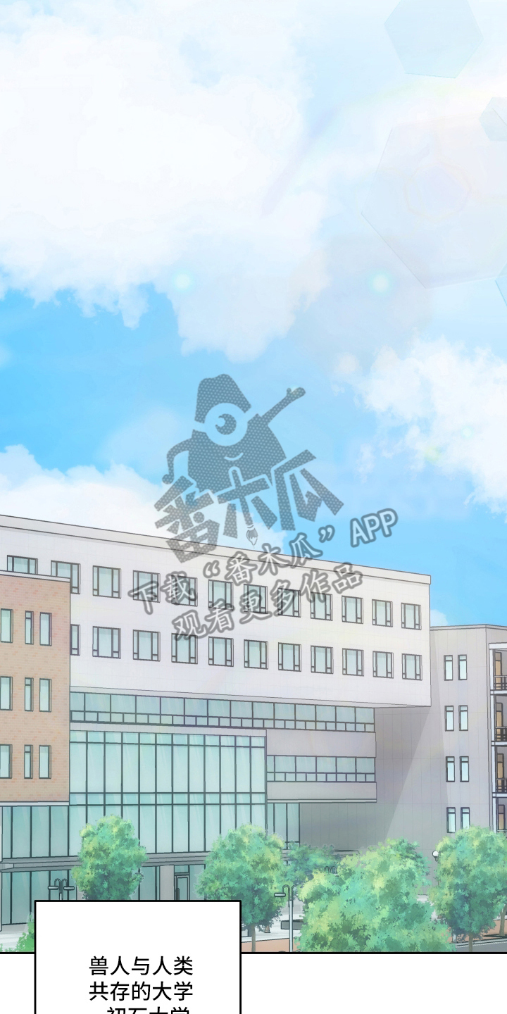 研究对象是人还是事漫画,第1章：兽人1图