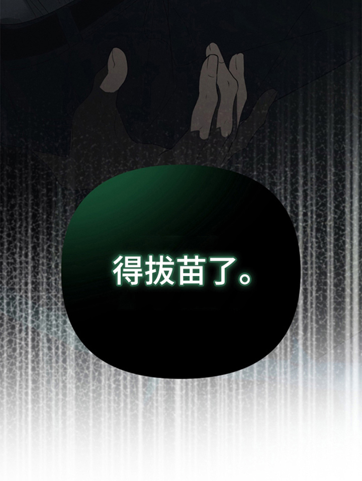 被播种的日子漫画,第14章：得拔苗了4图
