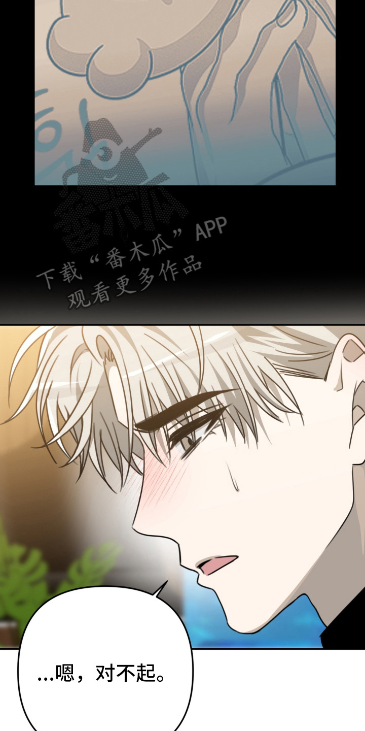 偷心合照漫画,第15章：一见钟情2图