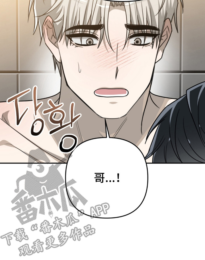 偷心合照漫画,第20章：好奇2图