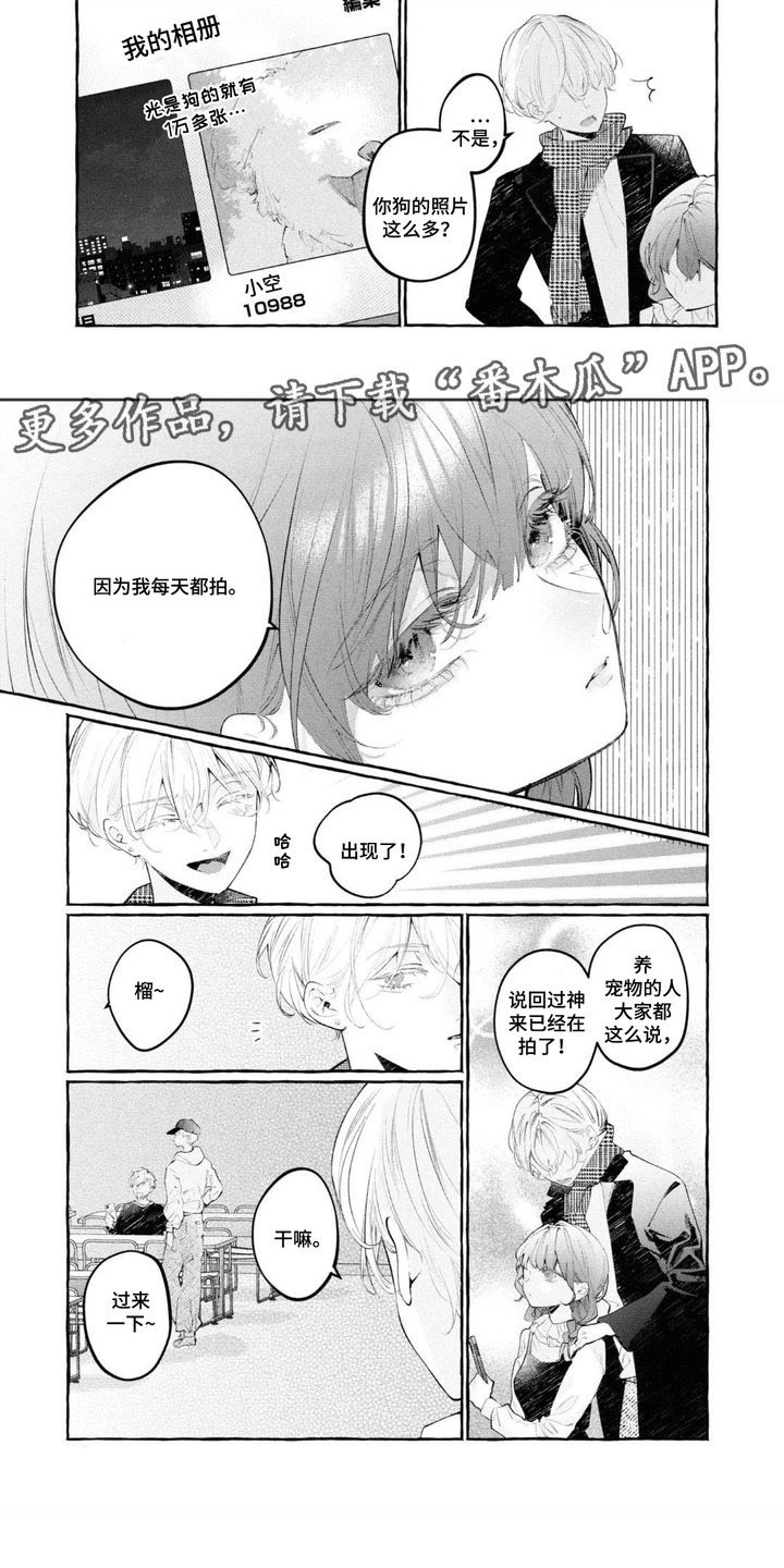 第3章：相册2
