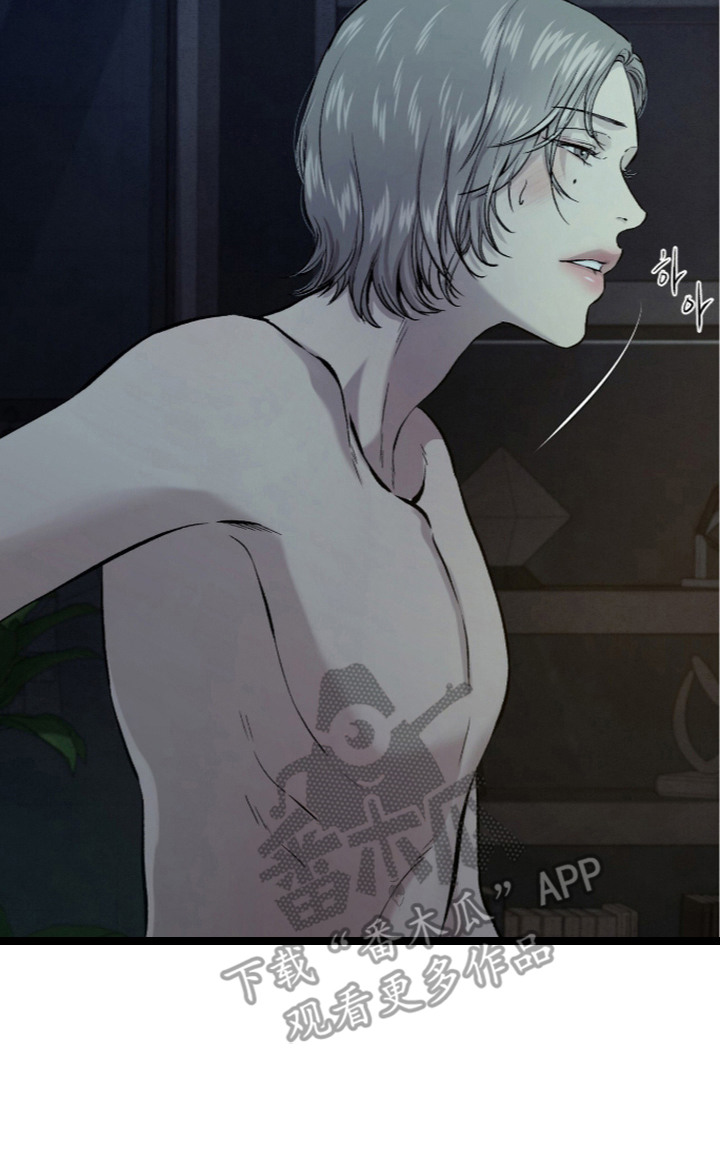 狂夜共生漫画,第5章：值得期待1图