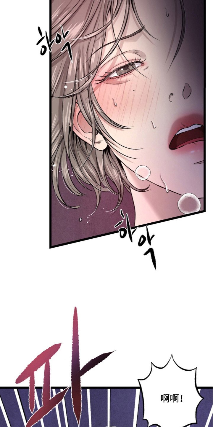 狂夜共生漫画,第13章：很喜欢5图