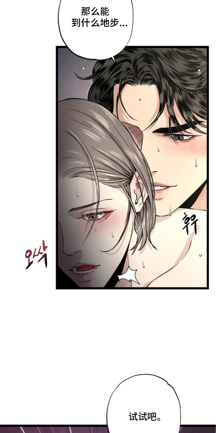 狂夜共生漫画,第13章：很喜欢5图