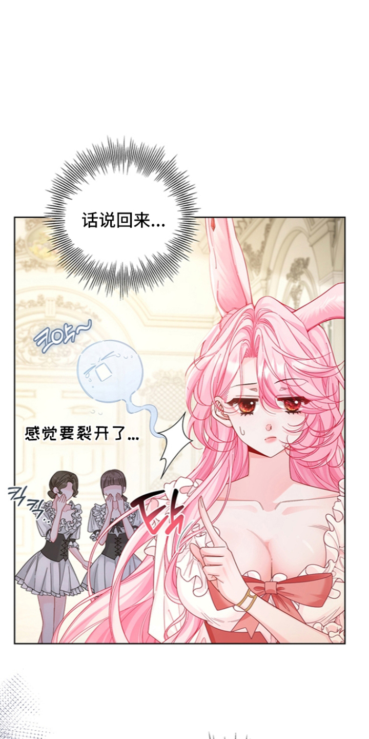 黑狼公爵的兔子漫画,第14章：新衣服4图