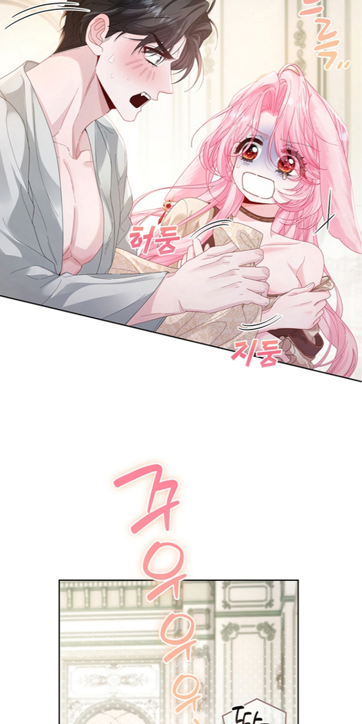黑狼公爵的兔子漫画,第3章：苏醒2图