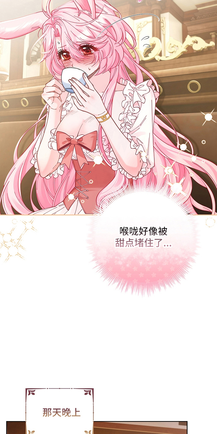 黑狼公爵的兔子漫画,第17章：疑惑3图