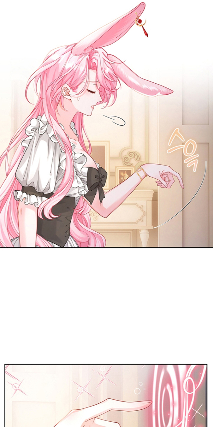 黑狼公爵的兔子漫画,第12章：做点什么2图