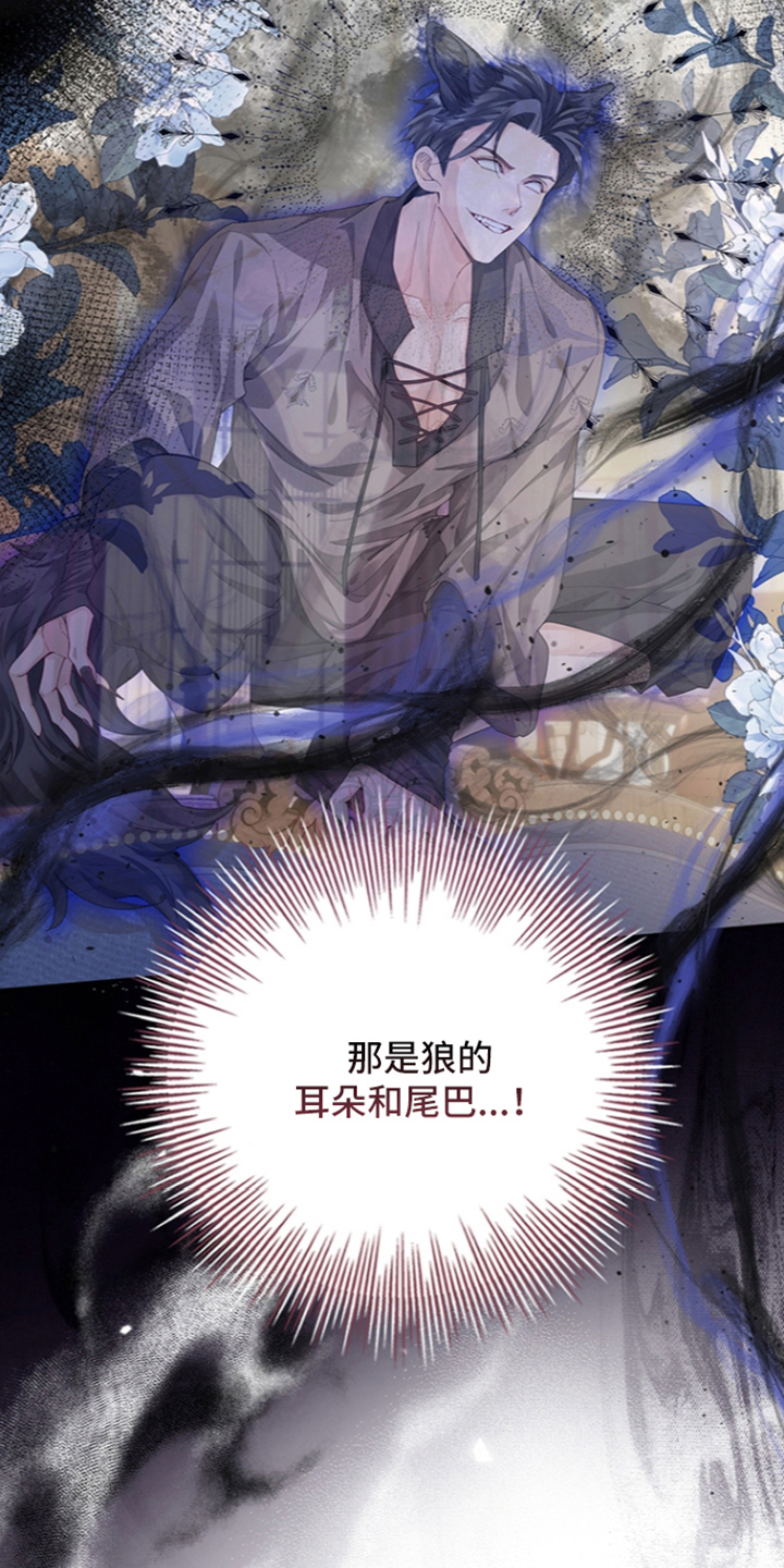 黑狼公爵的兔子漫画,第6章：怎么证明5图