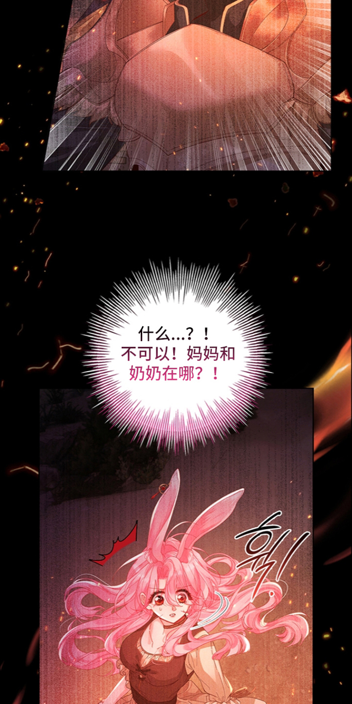 黑狼公爵的兔子漫画,第4章：袭击4图