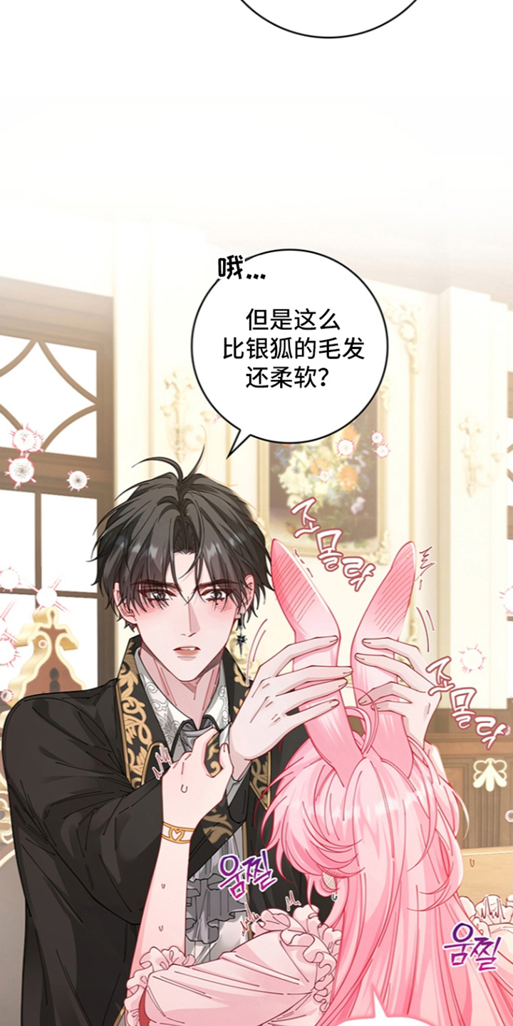 狼王子与黑公主动漫漫画,第16章：兔耳朵1图