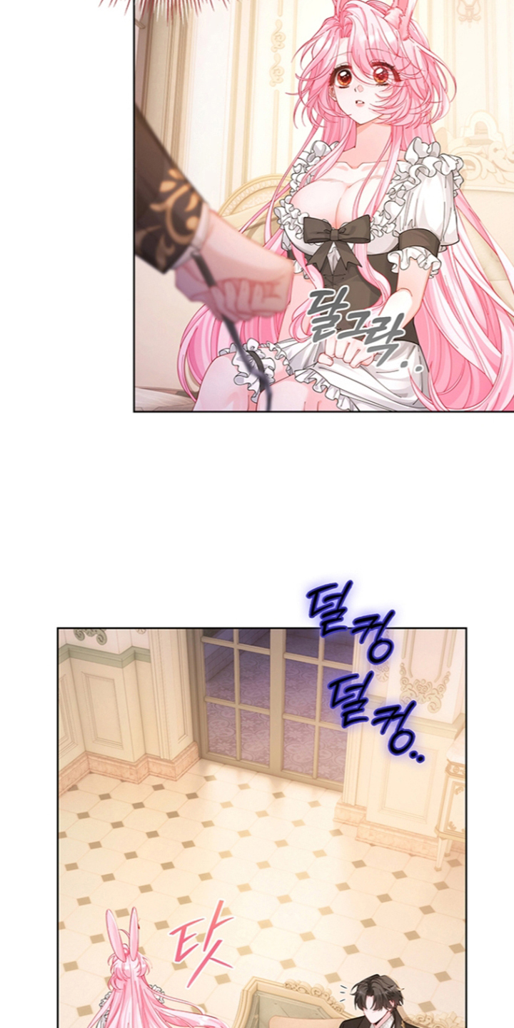 黑狼公爵的兔子漫画,第12章：做点什么2图
