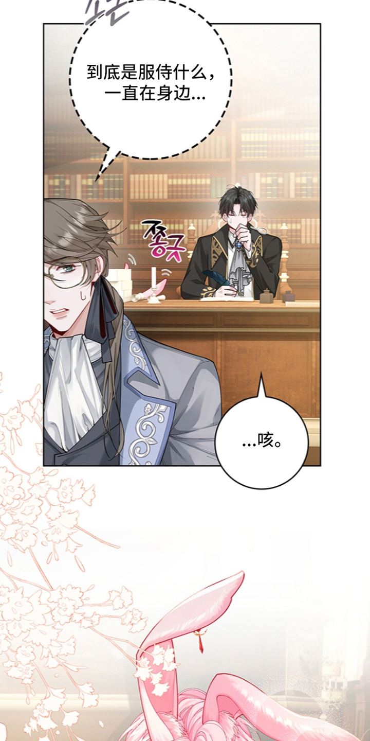 黑狼公爵的兔子漫画,第14章：新衣服4图