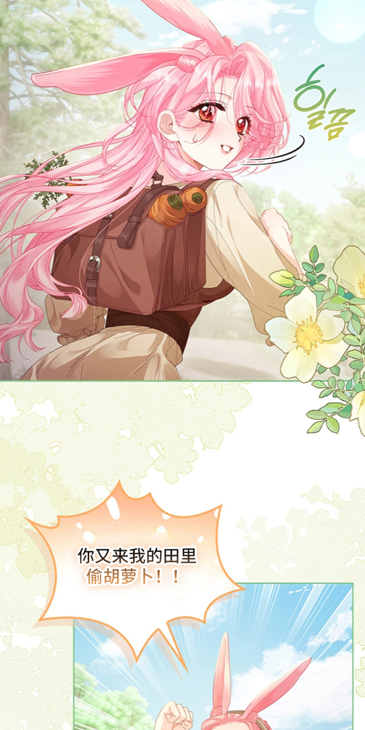 黑狼公爵的兔子漫画,第4章：袭击5图