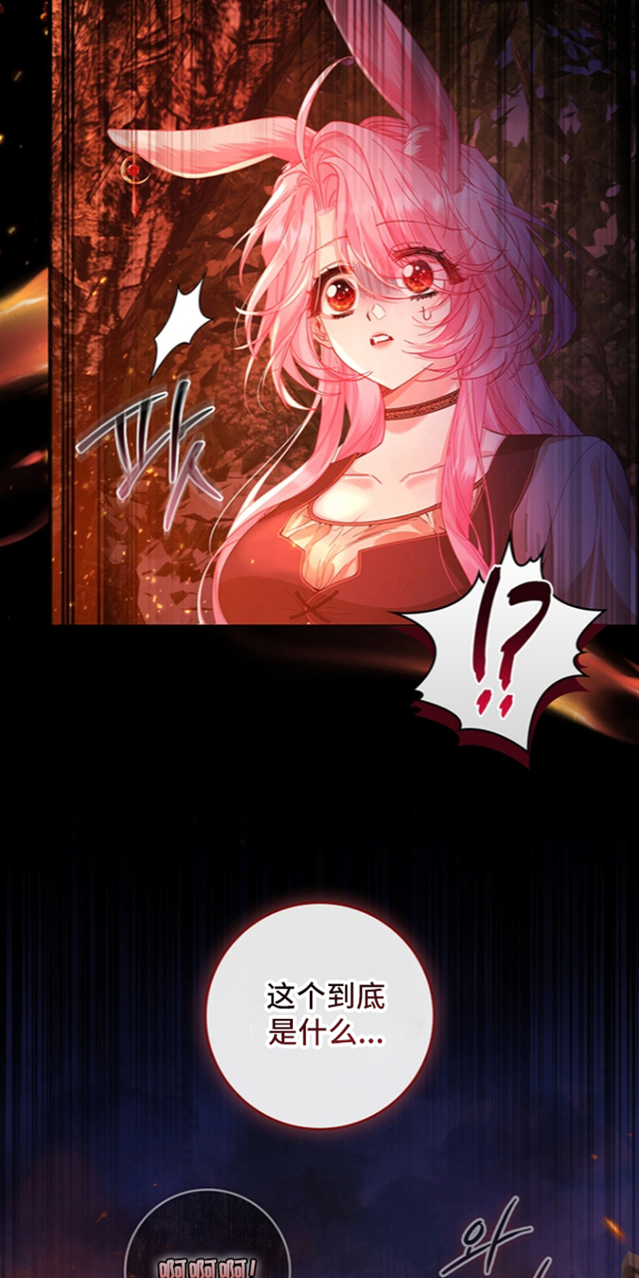黑狼公爵的兔子漫画,第4章：袭击1图