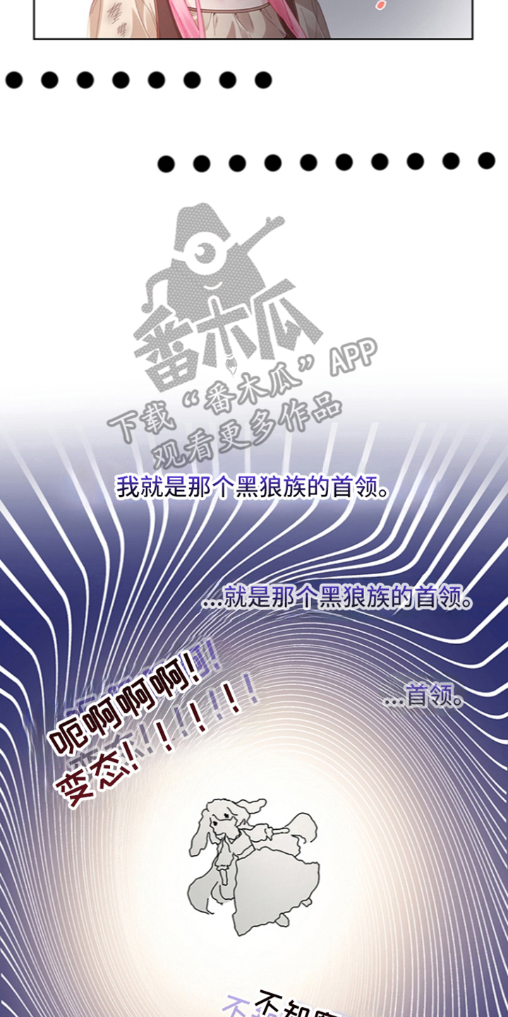 黑狼公爵的兔子漫画,第5章：求助3图