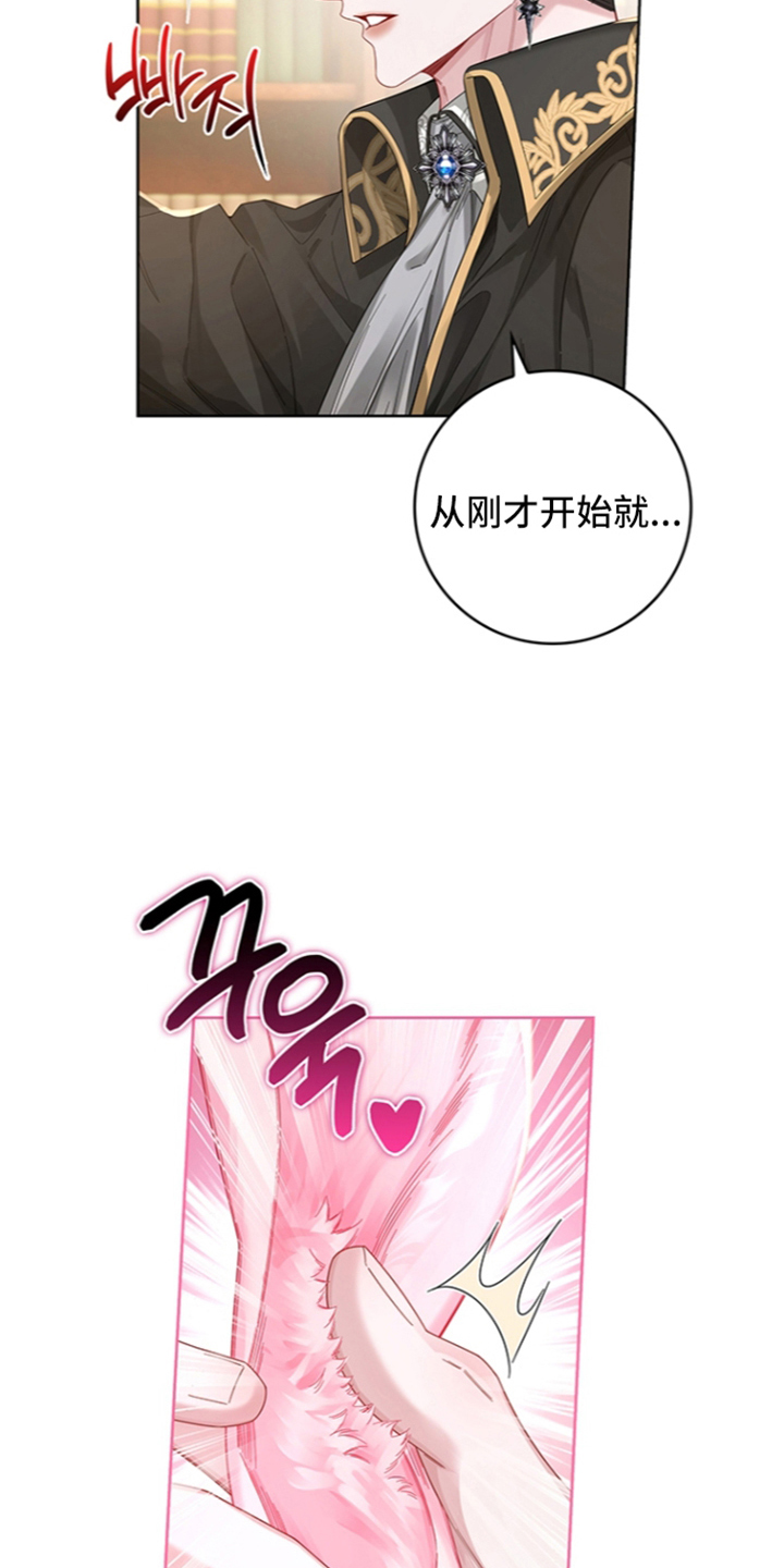 狼王子与黑公主动漫漫画,第16章：兔耳朵3图