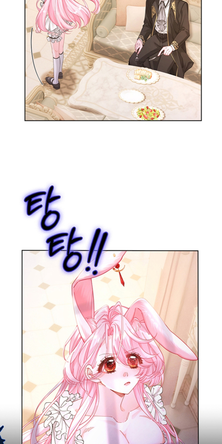 黑狼公爵的兔子漫画,第12章：做点什么3图
