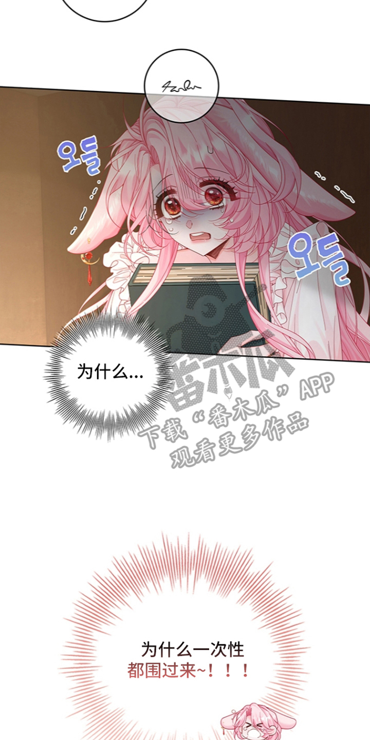 黑狼公爵的兔子漫画,第15章：过来一下5图