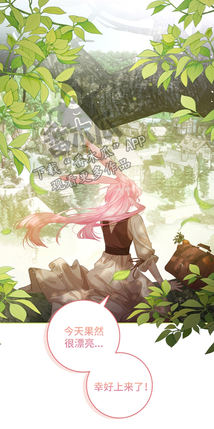 黑狼公爵的兔子漫画,第4章：袭击5图