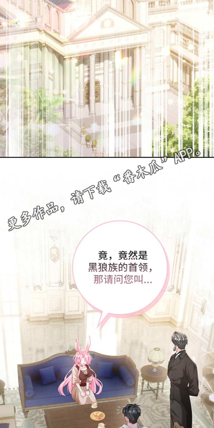 黑狼公爵的兔子漫画,第5章：求助5图