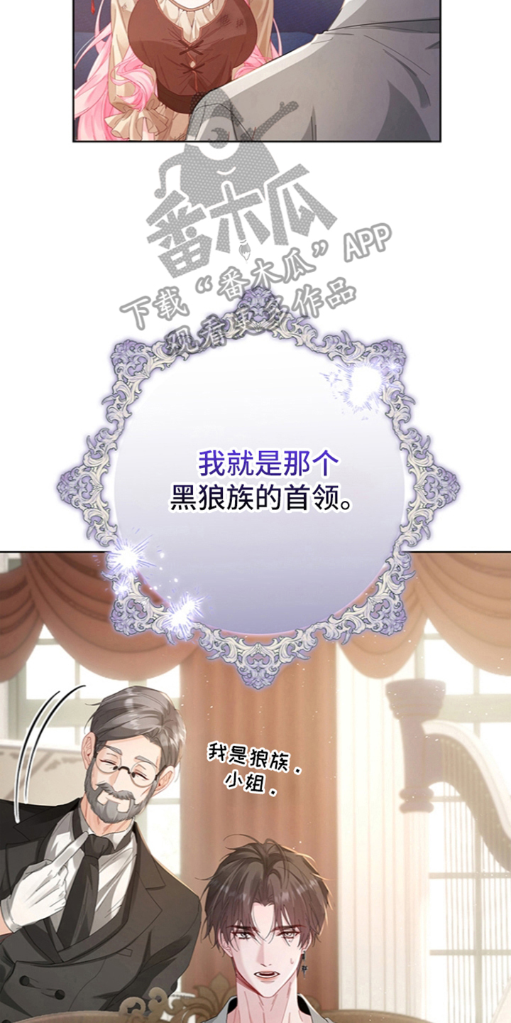 黑狼公爵的兔子漫画,第5章：求助1图